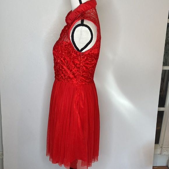 Say What? Dress Red Sleeveless Lace Stain Chiffon Fit and Flair Holiday Dress - Picture 5 of 16